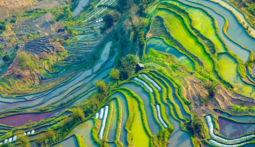 宝妈必备神器：丛台区产品视频拍摄轻松育儿好帮手