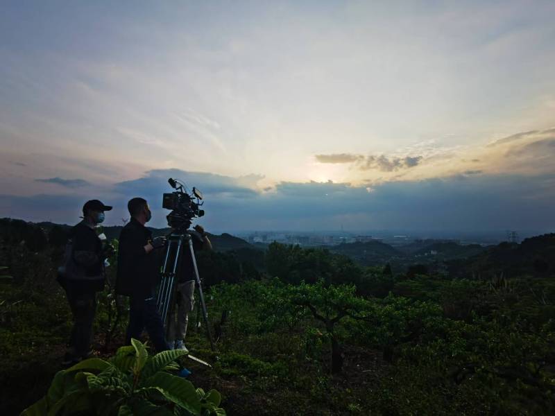 聚焦丛台区产品宣传视频拍摄公司，用专业实力铸就品牌传播传奇