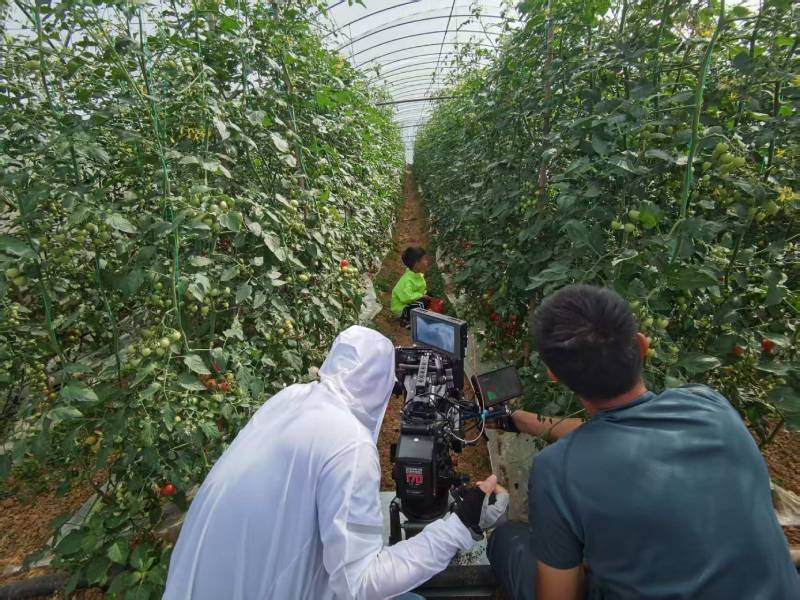 丛台区产品宣传视频拍摄公司进阶指南，助力品牌抢占传播高地